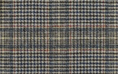 House Tweed 77615